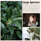 AstrHori 85mm F1.8 AF Full Frame Auto Focus Mid-telephoto Portrait Lens for Nikon Z Mount Camera
