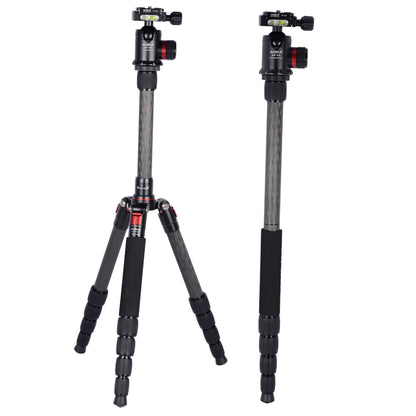 AOKA  Sturday Durable Lightweight Panoramic Compact Professional Carbon Fiber Tripod for Camera  with 360 Degree Ball Head