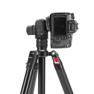 Miliboo MTT502B Camera Tripod Carbon Fiber Tripod 4-Sections Travel Lightweight Small Tripod 50mm damping Ball Head